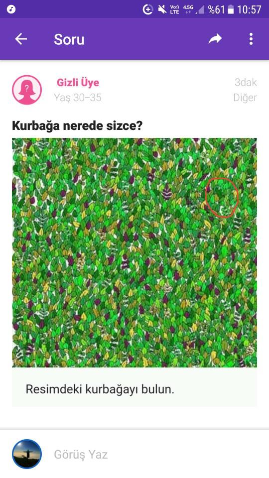 Kurbağa nerede sizce?