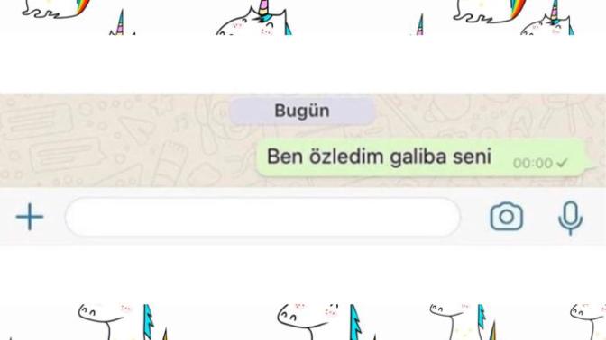 Eski sevgiliden gelen mesaja cevap verir misiniz?