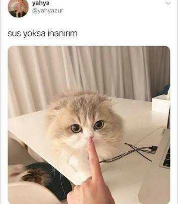Önüme gelene 'sana telefon alacağım' demek istiyorum, ne yapmalıyım?