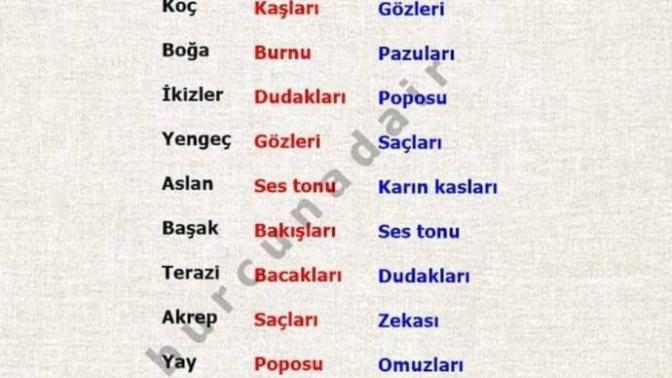 Bakın bakalım.. sizin en çekici baştan çıkartan yeriniz neresiymiş😁😁?