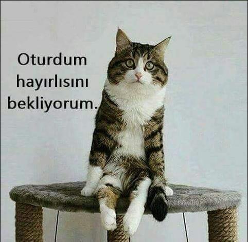 24 yaşındayım ama hiç sevgilim olmadı, sorun bende mi?