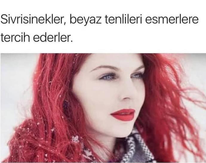 Sivrisinek olsanız beyaz tenlileri mi ısırırsınız esmerleri mi?