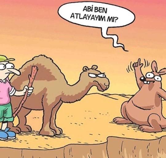 İnsanlara laf anlatmak mı daha zor yoksa deveyi hendekten atlatmak mı?