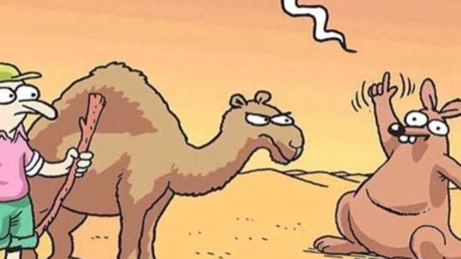 İnsanlara laf anlatmak mı daha zor yoksa deveyi hendekten atlatmak mı?