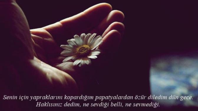 "Senin için yapraklarını kopardığım papatyalardan özür diledim dün gece" 😔... görseldeki söz ile alakalı ne düsünüyorsunuz?