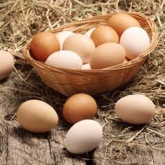 Yumurta yiyemeyen var mı? Yiyebilener yardım edin?