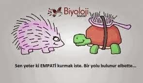 Sempati ve Empati 🤔 Bu iki kavramlardan hangisi sizi yansitiyor😀?