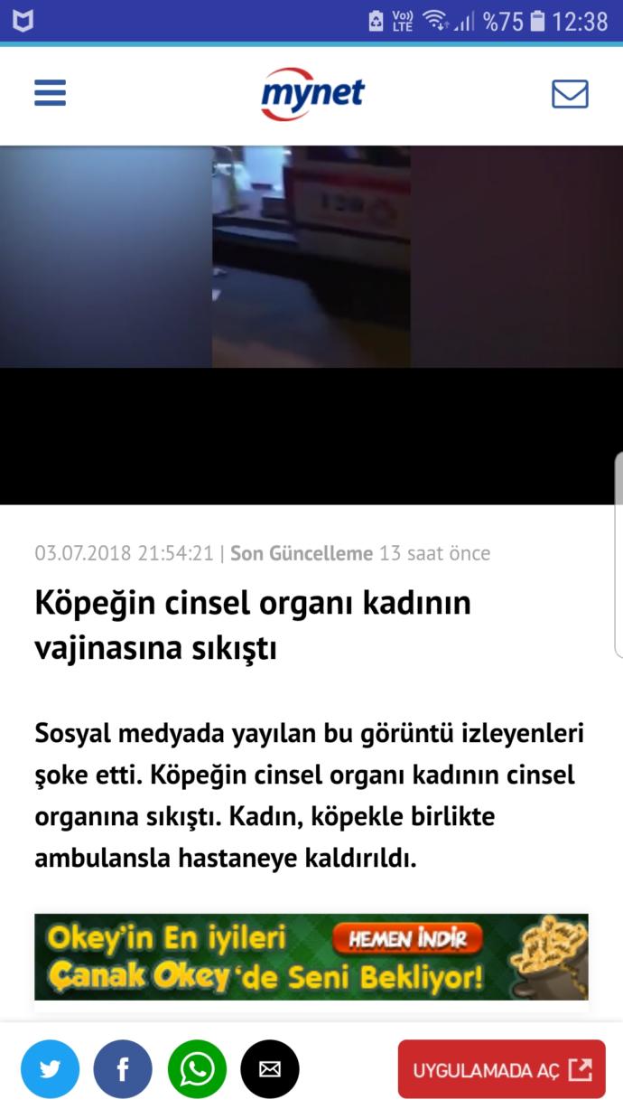 Kopegi ile cinsel iliskiye giren kadin ile ilgili haberi okudunuzmu?