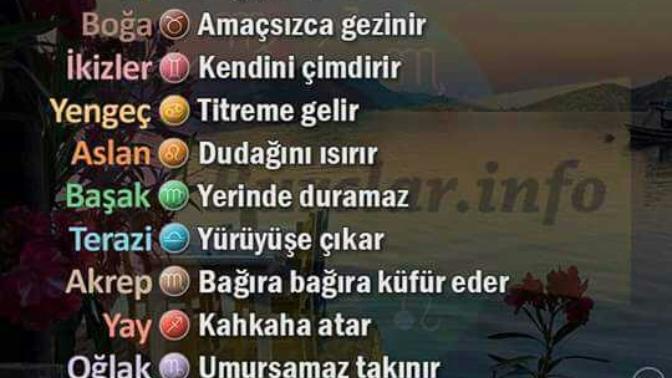 Siz hangisisiniz?