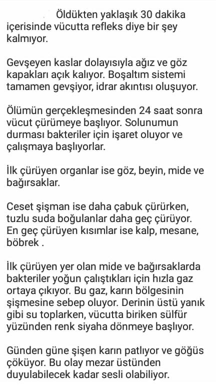 Normal yaşamda sosyal medyada kibir dolu popiler olmak için herşeyi yapabilecek insanlar icin ne düşünüyorsunuz?