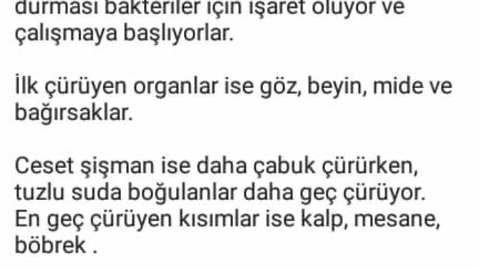 Normal yaşamda sosyal medyada kibir dolu popiler olmak için herşeyi yapabilecek insanlar icin ne düşünüyorsunuz?
