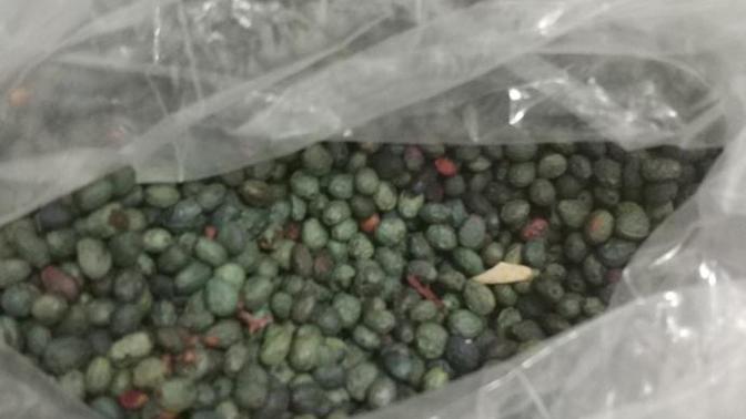 Bu meyveyi bilen var mı?