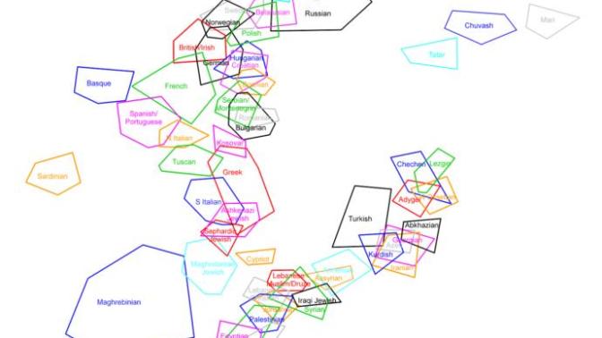 DNA çizelgesi. Bu çizelge hakkında ne düşünüyorsunuz?