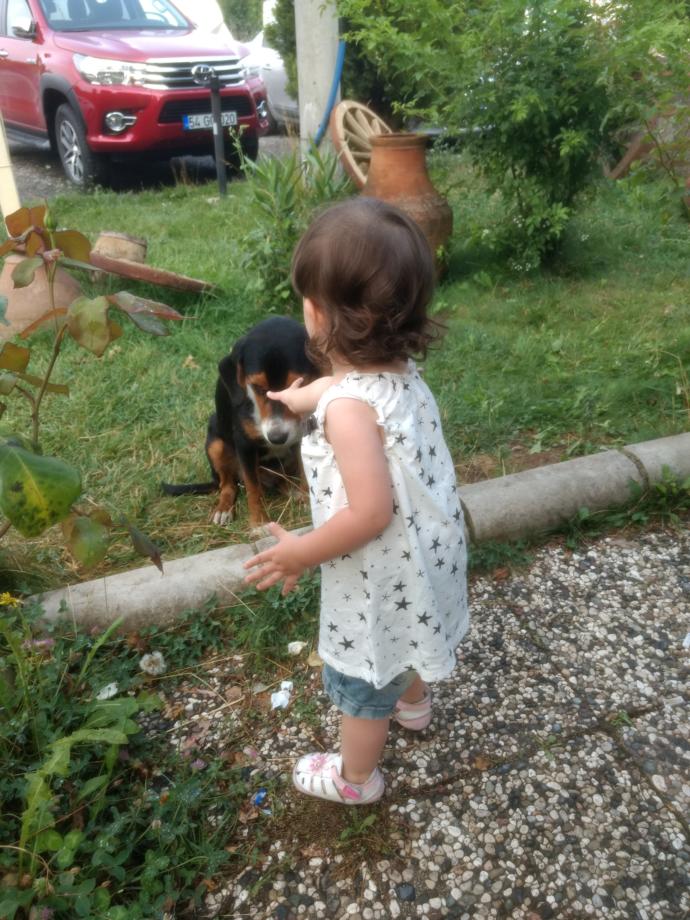 Babasının prensesi olan kızlara niçin bir gün bu hayatta yalnız kalacağı bu yüzden güçlü olması gerektiği öğretilmiyor?