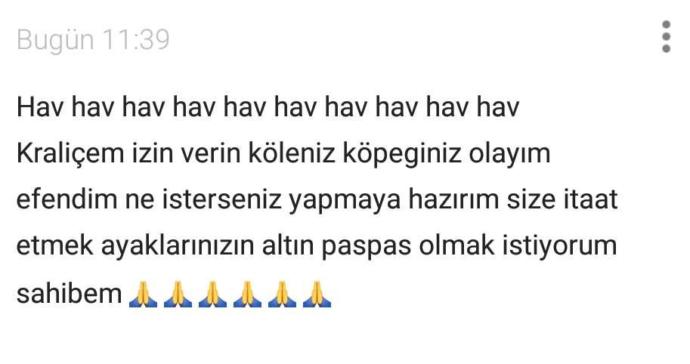 Köpek sahiplendirmek istiyorum isteyen var mı 😂?