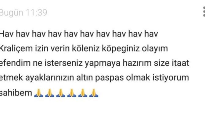 Köpek sahiplendirmek istiyorum isteyen var mı 😂?