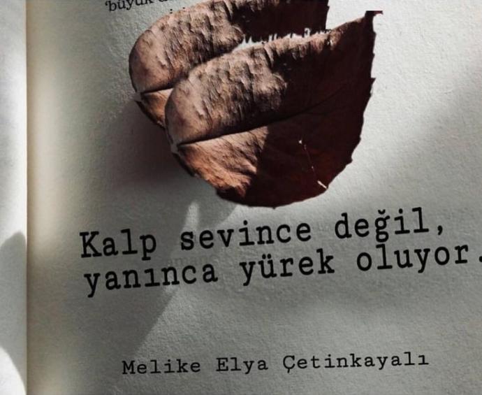 Kalp sevince değil yanınca yürek olur sözünün anlamı sizce nedir?