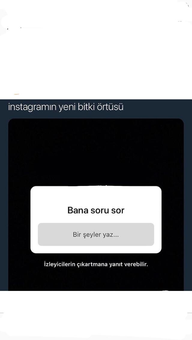 İnstagramın yeni bitki örtüsünü nasıl buldunuz 😂?