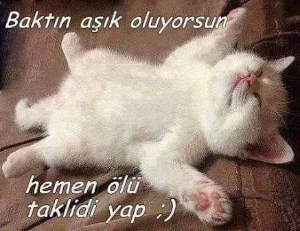 Bİr kadının “sana aşık olmaktan korkuyorum” demsinin altı yatan sebep ne olabilir 🤔?
