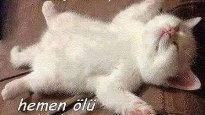 Bİr kadının “sana aşık olmaktan korkuyorum” demsinin altı yatan sebep ne olabilir 🤔?