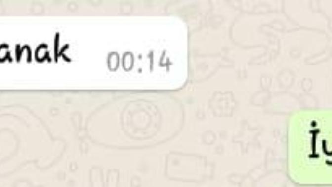 Sevgilim sizce ne tür  bir  öküz 😓 ?