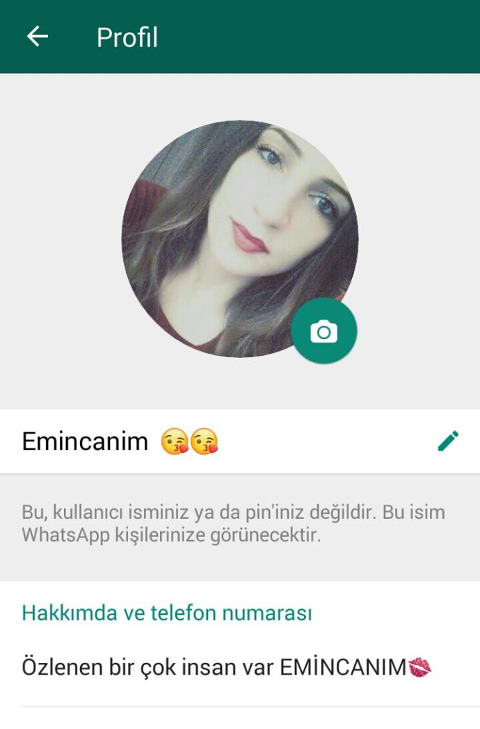 Wp durumunda ne yazıyor?