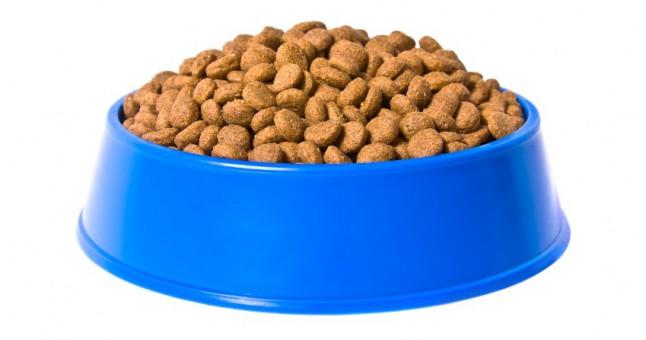 Kedi maması alırken nelere dikkat etmeliyim?