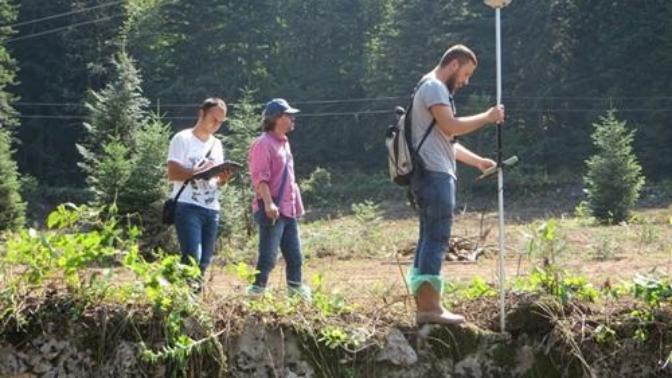 Orman mühendisliği ile orman endüstrisi mühendisliği'nin farkı nedir?