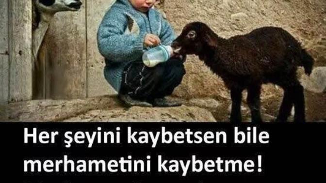 Merhamet doğuştan mı gelir yoksa sonradan da öğrenilebilir mi? Bir çocuğa merhamet etmesini nasıl öğretirsiniz?