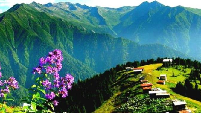 Karadeniz turu mu? Akdeniz turu mu? Sizce hangisi güzel?