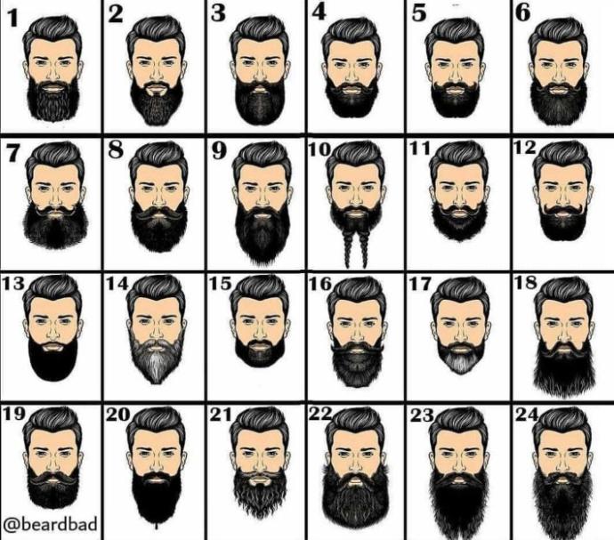 Sizce hanği sakal türü daha çekici?