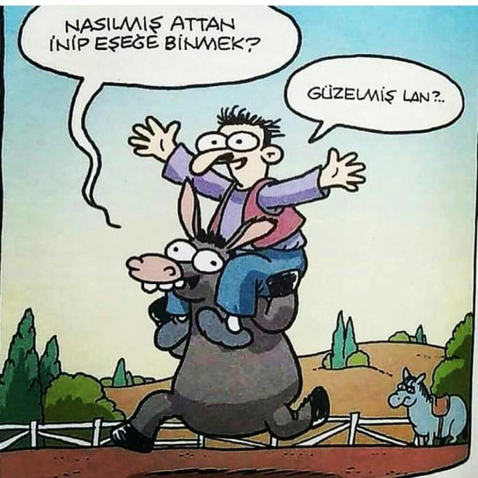 Attan inip eşeğe binme tabirine, hayatınızın hangi anında ve neyde denk gelip yaşadınız?😀?