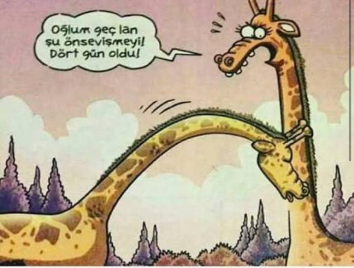 Cinsellikse ön sevişme ne kadar önemlidir sizce ya da nasıl olmalıdır?