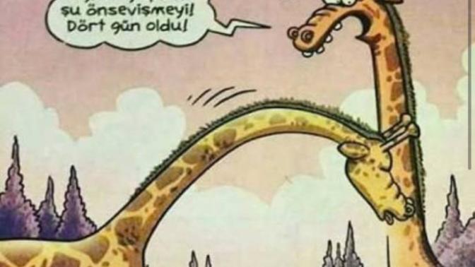 Cinsellikse ön sevişme ne kadar önemlidir sizce ya da nasıl olmalıdır?