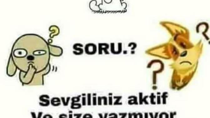 Sevgiliniz aktif ve size yazmıyor tepkiniz ne olurdu ?