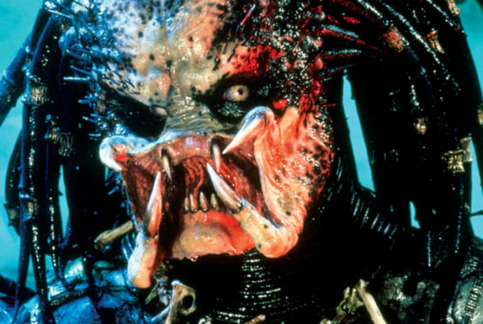 Predator