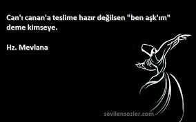 Ne de güzel söylemiş hz mevlana ❤?