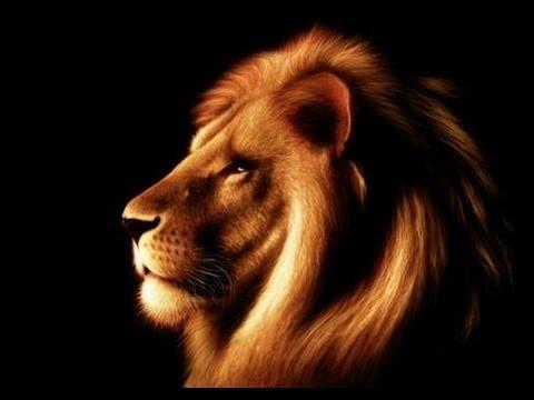 Bu hafta aslan dönemine giriş yapıyoruz. Aslan enerjisi artıyor, sizde ki Aslanların enerjileri ne durumda?