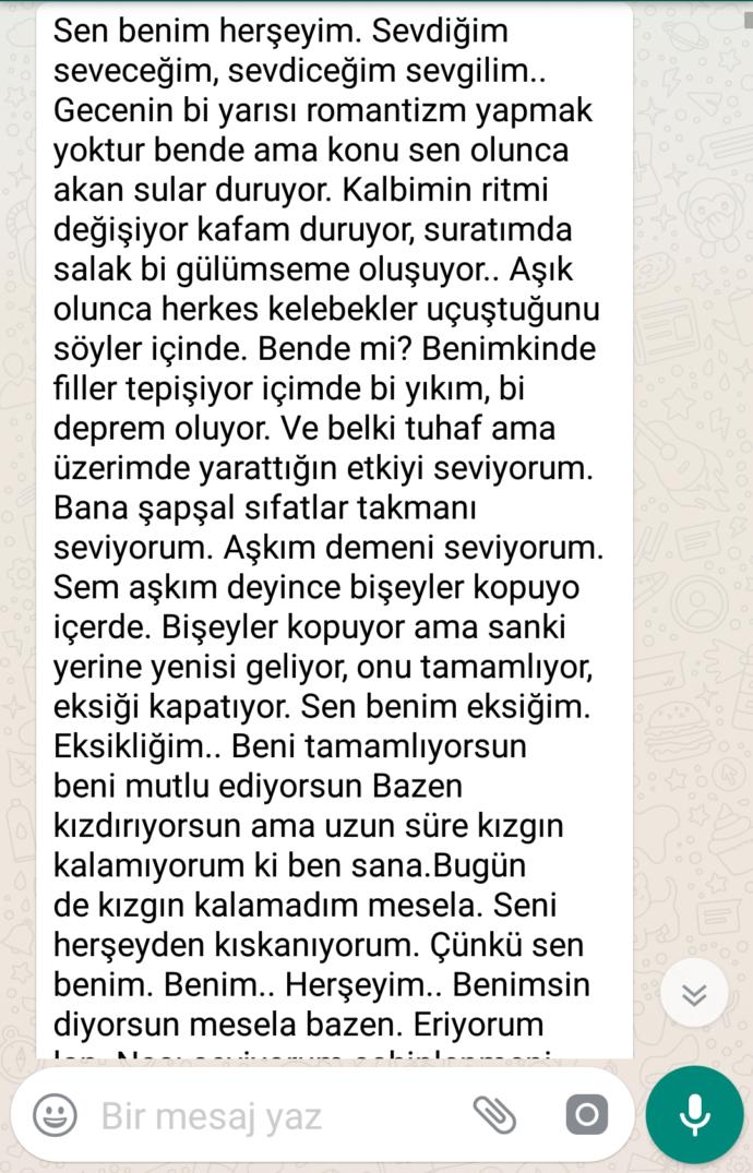 Sizce zamanında bunları yazan kız sevmemiş sadece boşluktaymış olabilirmi? Lütfen bakın kabullenemiyorum, inanamıyorum hala?