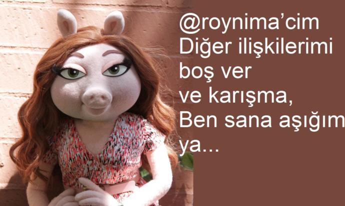 Eğer sevgiliniz/eşiniz bir hayvan olsaydı bu hangi hayvan olurdu?