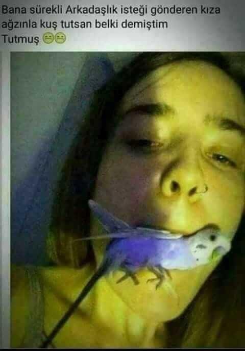 Sevdiğiniz için ağzınızla kuş tutar mısınız 😄?