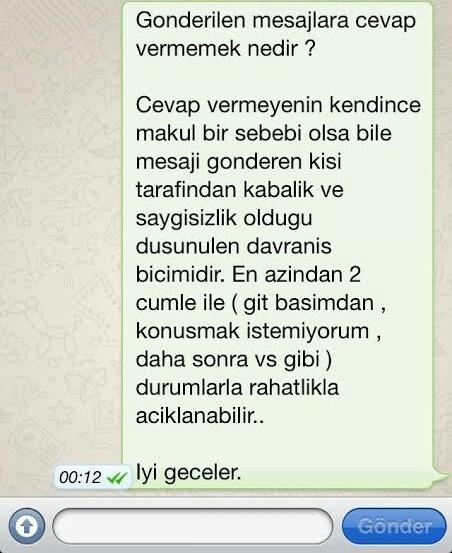 İlk mesaja cevap vermeyen kişiye atılabilecek en mantıklı ikinci mesaj nedir?