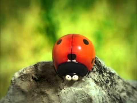 Jartiyer bütün kadınlara yakışır mı?