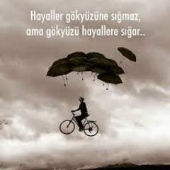 Hayallerinizin peşinden gitmek için yeterince gözü kara, istikrarlı mısınız?
