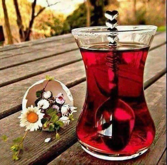 Cay hayattir...