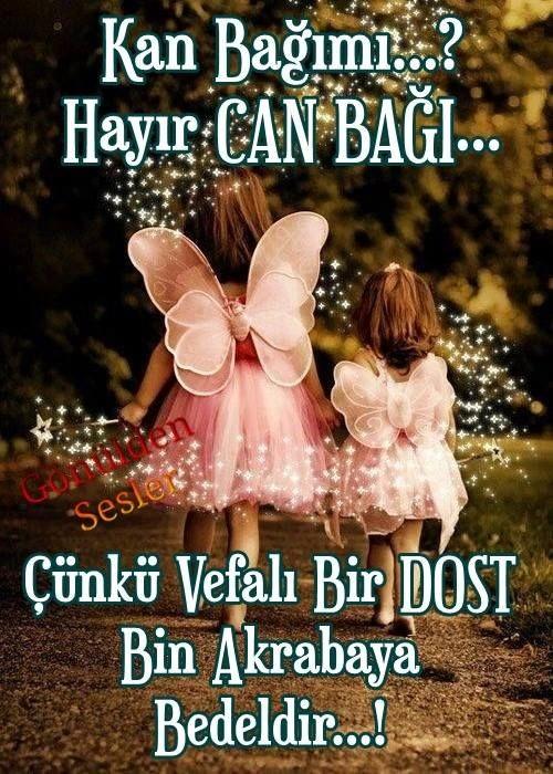 Gözünüzü kırpmadan canınızı, malınızı, teslim edeceğiniz, kardeşinizden daha çok güvendiğiniz bir dostunuz var mı?