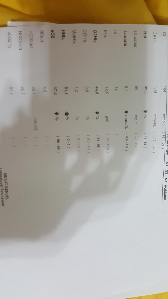 Tahlil sonuclarindan anlayam var mi?