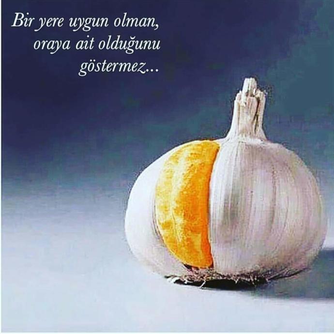 Bazen tamamlanmak ait olmak değildir. 