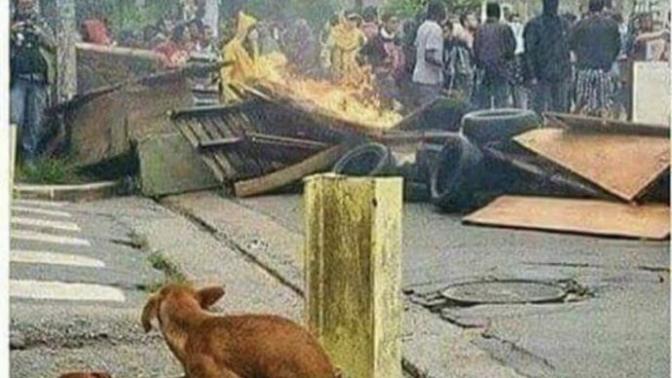 Dünya yansa umrumda değil diyen?
