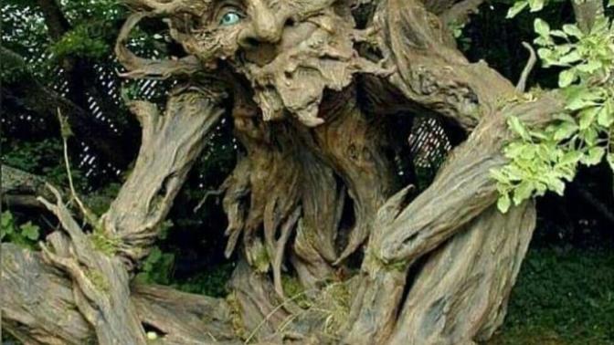 Beklemekten ağaç olsanız, hangi meyveyi vermek bu bekleyişinize yaraşır?